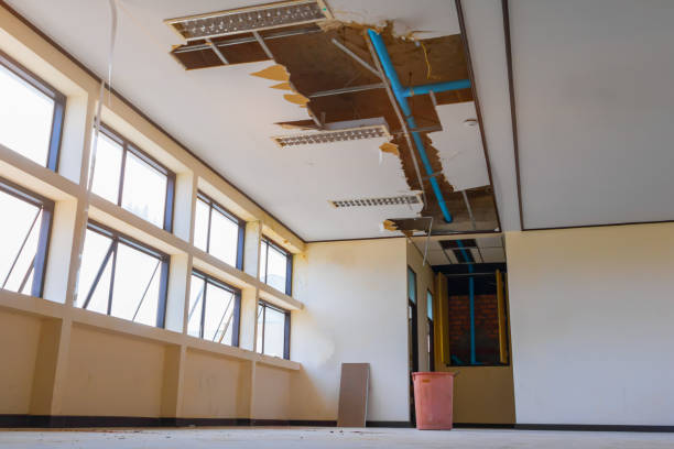 Best Sewage cleanup and water damage restoration  in Vivian, LA