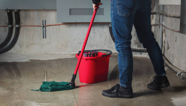 Best Water damage restoration process  in Vivian, LA