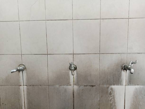 Trusted Vivian, LA Water damage restoration Experts