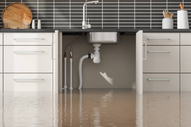 Best Carpet water damage restoration  in Vivian, LA