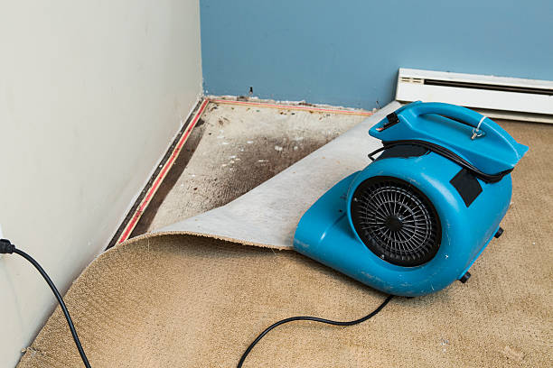 Best Residential water damage restoration  in Vivian, LA